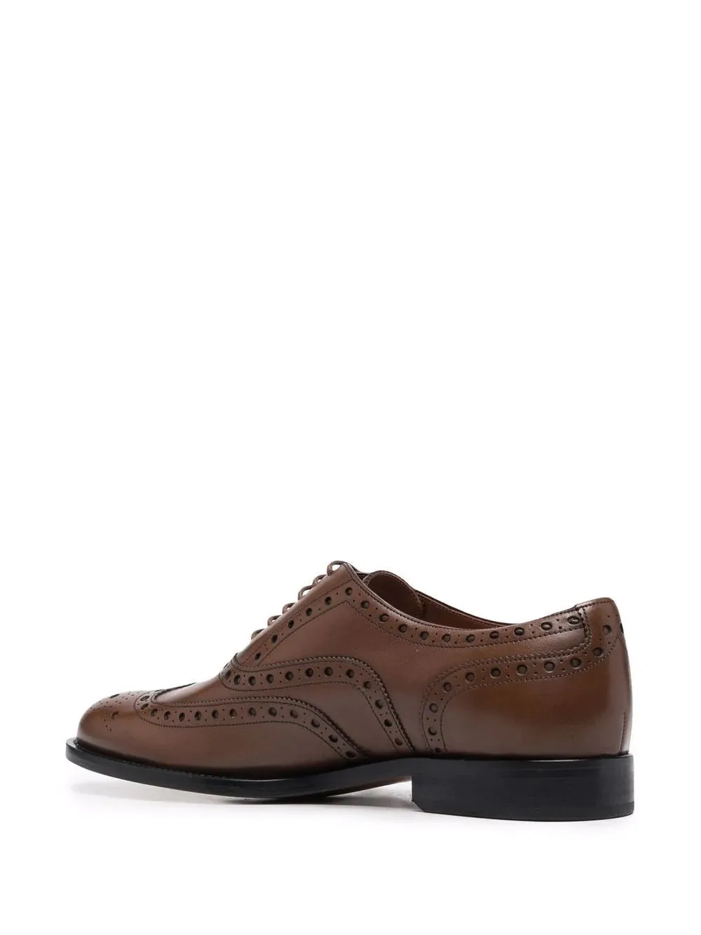 Bally Men's Brogues In Tobacco