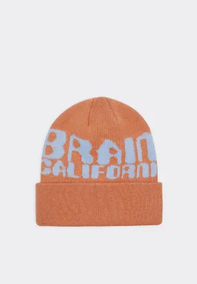 Californian Design Wool Beanie - terracotta