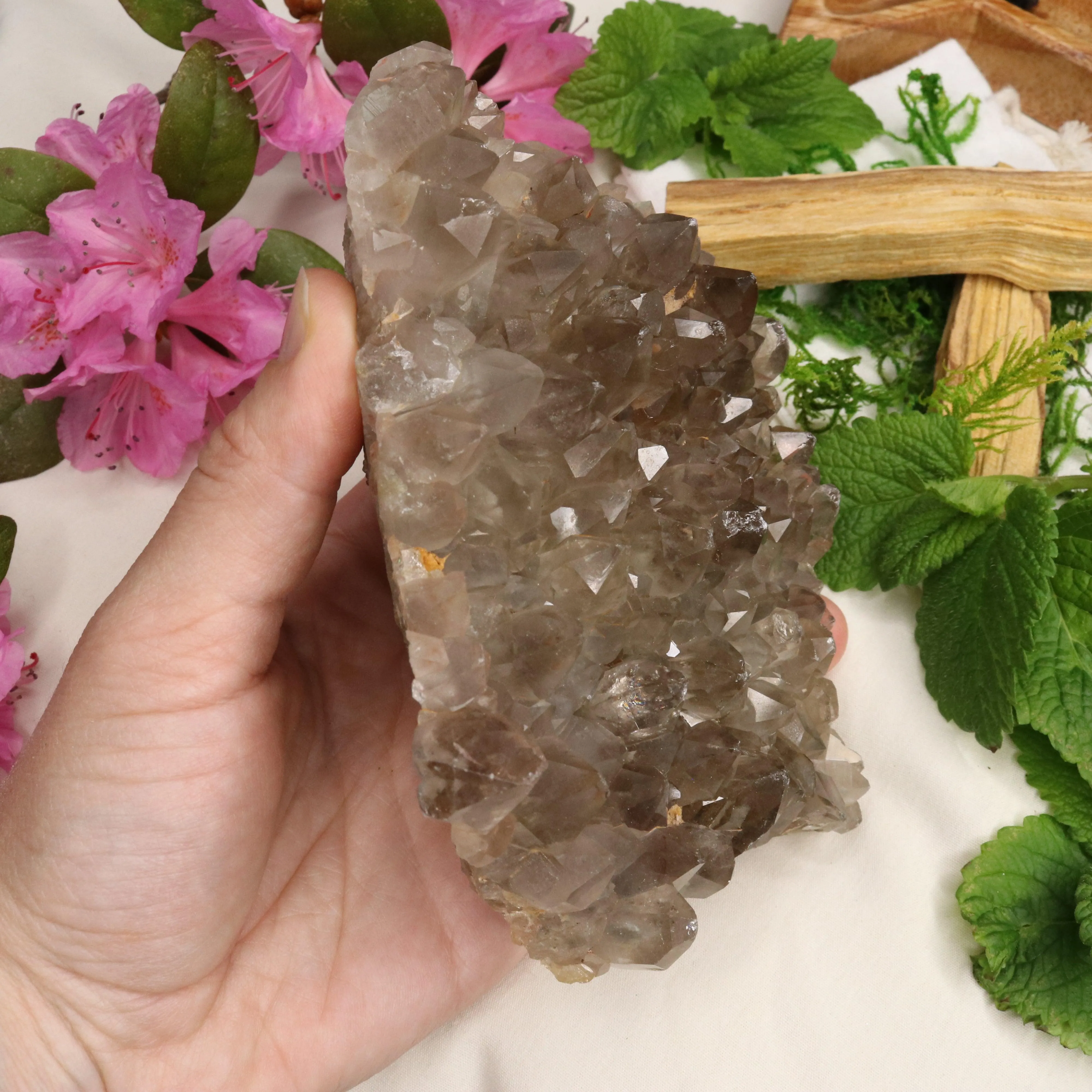 Large Grade A Smoky Quartz Cluster ~ Grounding and Meditative