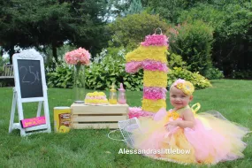 Pink lemonade tutu dress