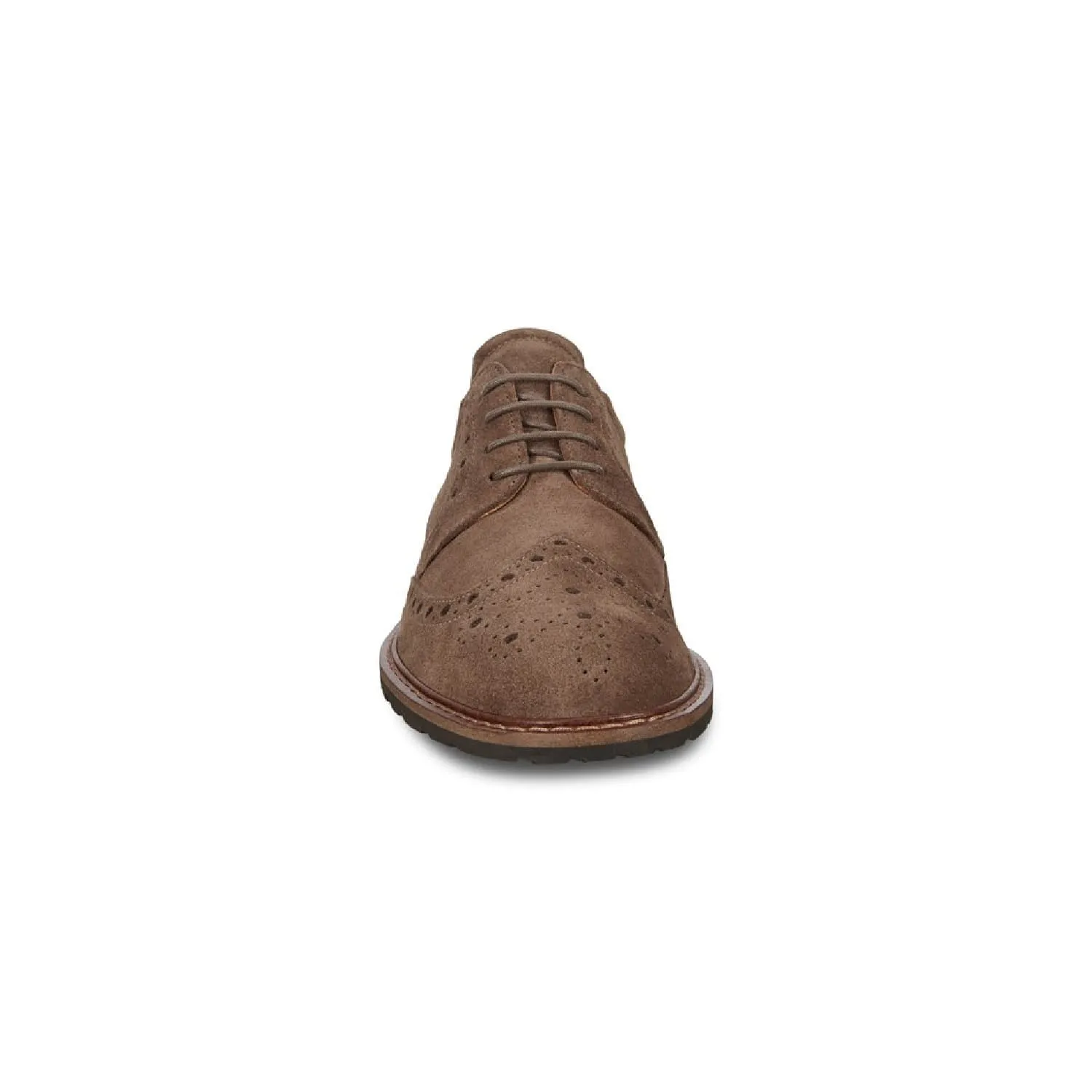 Vitrus Suede Wingtip